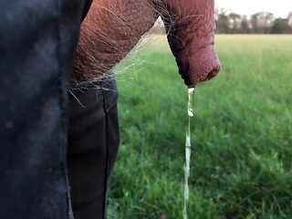 Outdoor pissing - 1 of 2 