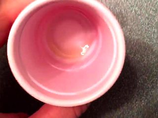 Emo HuCow Udders Milk Production Examination 2