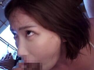 x1x242066A12316070FC4