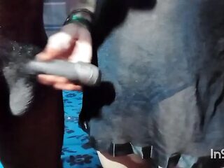 Amateur GF sucks cock and shows big tits