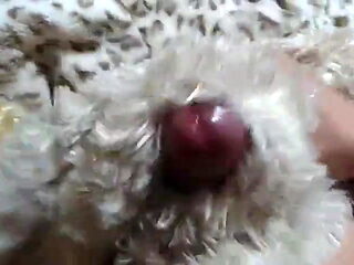 japanese fur fetish masterbation