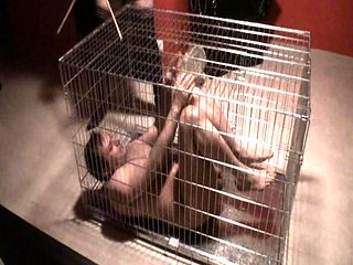 Cage Terror by Dominas