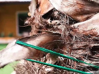 Wet Sneaky Blowjob With Sapphire Astrea And Jordi Big Cock