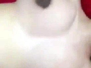 Ah chai and the beatiful korean girl friend part 2