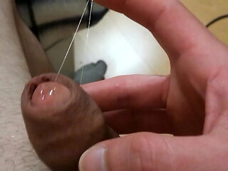 Precum web & foreskin (insane close up)! 