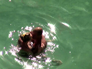 Beach Voyeur Hardcore Scene