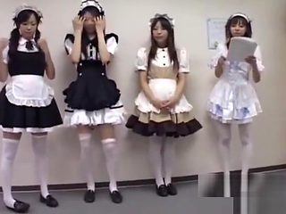 Maid Cute Cute Omnibus 8