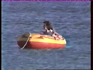 Le Petit poissonnier (Super sexe) (1989)