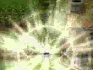 Fucking My Pregnant Stepsister in the Barn