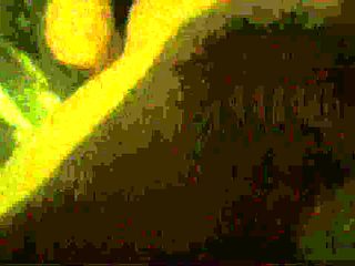 Fucked wife hard from behind