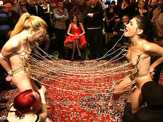 Princess Donna'S B-Day Bash - PublicDisgrace