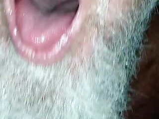 Island House Key West Vacation Tour