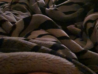 Drunk Muslim has sex under blanket with son 