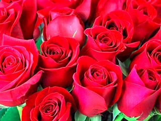 Bangladeshi girl, mommy, big ass