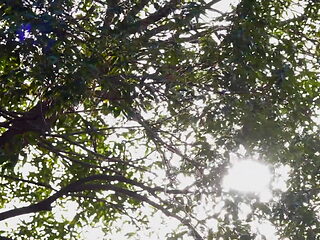 Tsubaki Yamaguchi - His In-Law Came To Take Care Of Him While The Wife Was Away. part 1