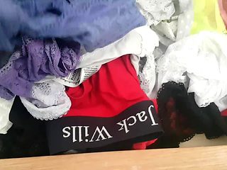 Girlfriend's Sisters Panty Drawer 