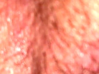 A Trip Down Bunny Lane