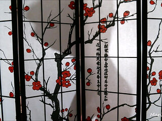 Silhouette Tease / Ball Domination