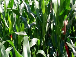 Cindy im Feld mit Dildo