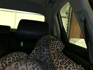 Leopard Encasement in Car