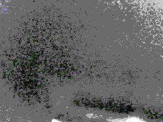 Down South Beach Sex Worker