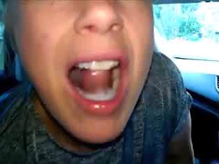 Swallow everywhere 2