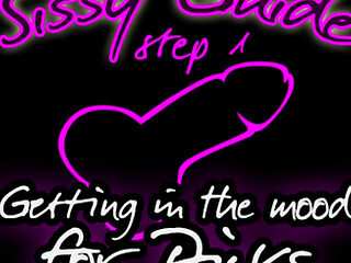 Sissy Guide Step 1 Getting in the Mood for Dicks