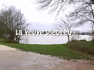 Fat French grannies dicked in all holes