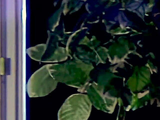 The Blonde and the Stranger.