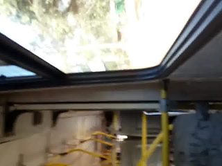 Un dia de calentura en el bus