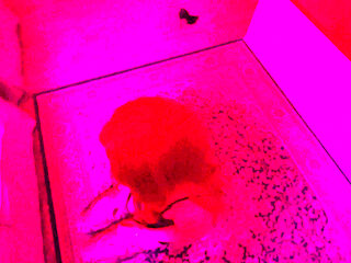 My Wife Returned From the Club with a Sprained Ass. I Fucked Her Without Lubricant. Hard Anal