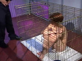 Just Fucking Crazy!!! - VOL. 02