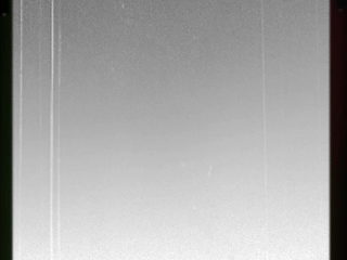 Girl asked to suck my big dick