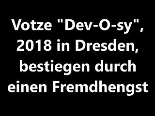 Dev-O-sy wird fremdbestiegen im Hotel