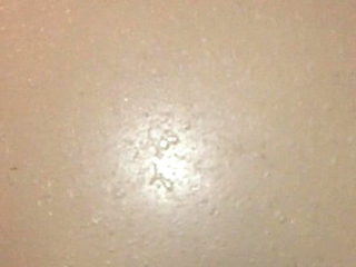 Fuck my friends wife