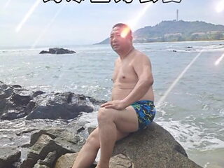 China Chubby Bear Beach Swimming Trunk Show