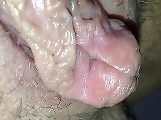 Lick Your with Passion