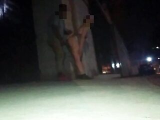 Risky Argentine couple gets caught having public sex on camera