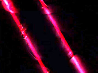 I Don’t Care About the Other People in the Office