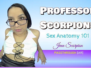 Latina Blowjob & Riding POV