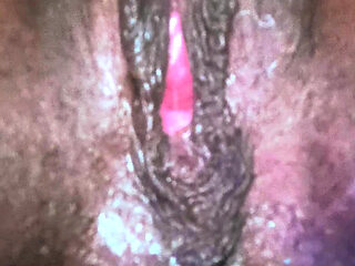 All My Pussy