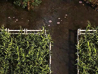 The Genesis Order V39084 Part 98 Horny Cowgirl by Loveskysan69