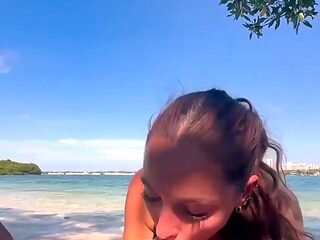 Ashley Aoky Sex Tape In Public Beach