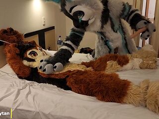 Married wife gets played with by her kinky husband in a fur suit