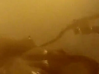 Exhibition on the Terrace