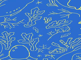 The Selkie (part 5)
