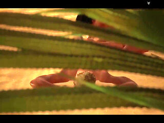Wild Life Animation Collection Sex Game Play straight 04 Nude Game Play 18+