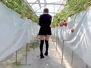 Mayu No.45 Strawberry Hunting Exposure, Immediate Oral, Swallowing Specialized