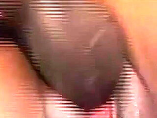 Big Ass Ebony Babe Sydnee Kapri Is Ready to Pounce on a Hard Tool.