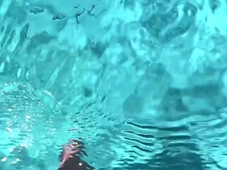 Dangerous Creature in the Water